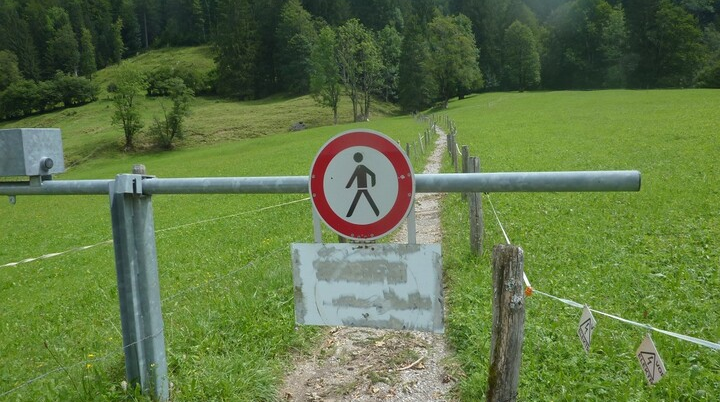 Wanderung durchs Hölltobel | © DAV Wangen