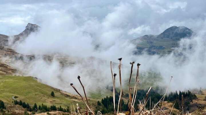 DAV-Senioren im Wetterglück | © DAV Wangen