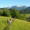 Exkursion ins Natura 200-Gebiet Ludescher Berg